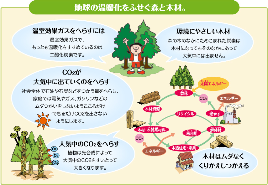 地球の温暖化をふせぐ森と木材。