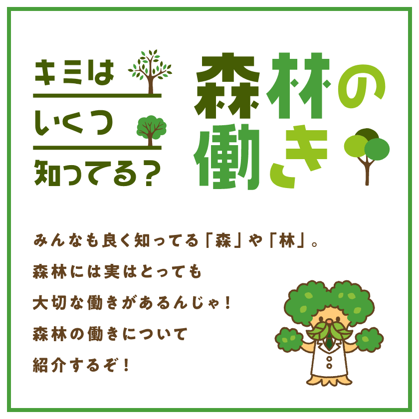 キミはいくつ知ってる？森林の働き