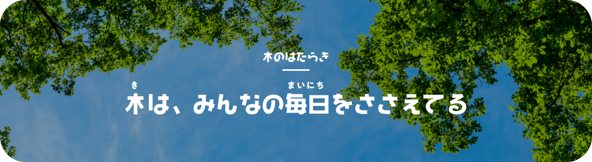 木は、みんなの毎日を支えてる