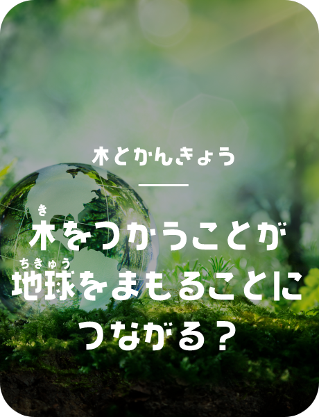 木をつかうことが地球を守ることにつながる？