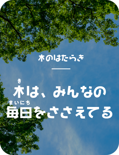 木は、みんなの毎日を支えてる